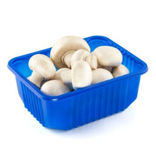 Imagen de HONGO ENTERO CB BANDEJA 1 UND