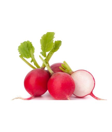 Imagen de RÁBANO ORGÁNICO CB 1 UND