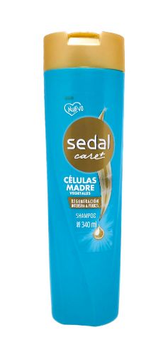 Imagen de SHAMPOO SEDAL CARE PLUS CÉLULAS MADRE VEGETALES 340 ML