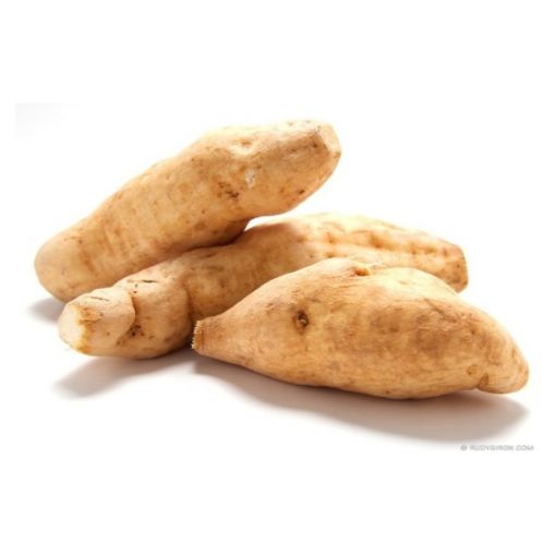 Imagen de RAIZ DE CHAYOTE CB G 