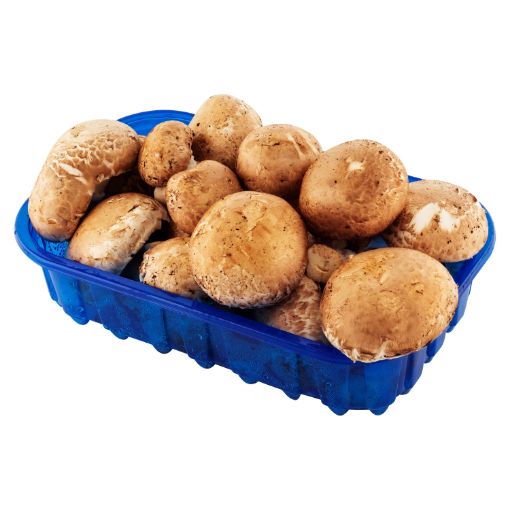 Imagen de HONGO CRIMINI CB BANDEJA 1.00 UND