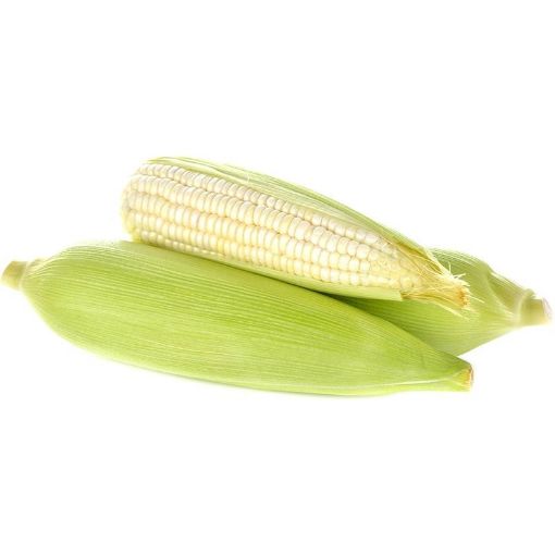 Imagen de ELOTE TUZA 1 UND