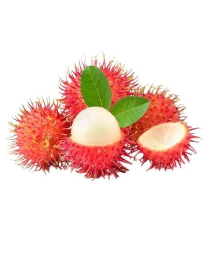 Imagen de MAMON ROJO CHINO CB POR KILO 