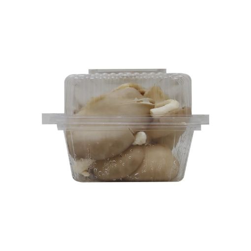 Imagen de HONGO OSTRA CB BANDEJA 1 UND