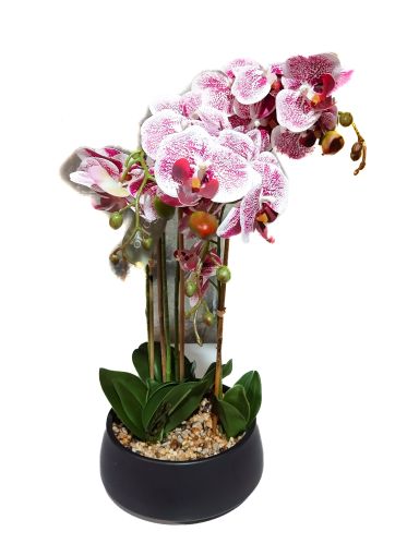 Imagen de PLANTA SOHO ARTIFICIAL ORQUIDEAS #310086 1 UND