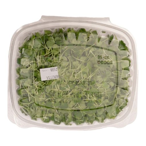 Imagen de ARUGULA CB BANDEJA 1 UND